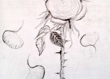 Rose-scaled